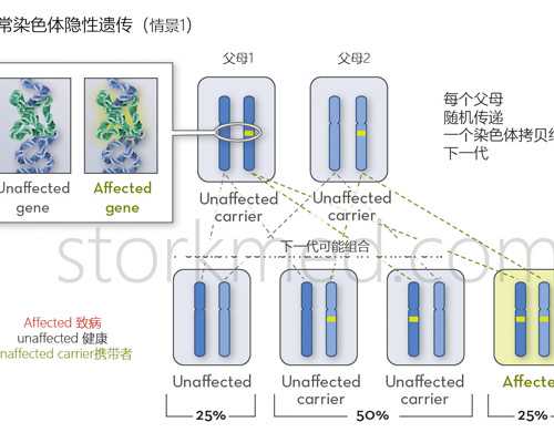 广西三代试管婴儿技术解析与医院推荐指南