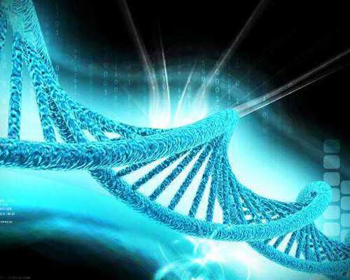 石家庄三代试管助孕正规性解析与优势探讨