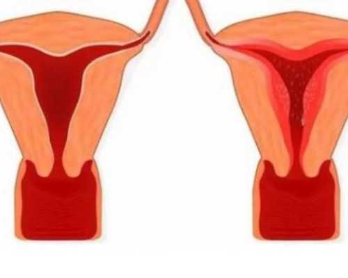 借卵试管卵妹_试管借卵，试管一次能成功吗试管一般几次成功