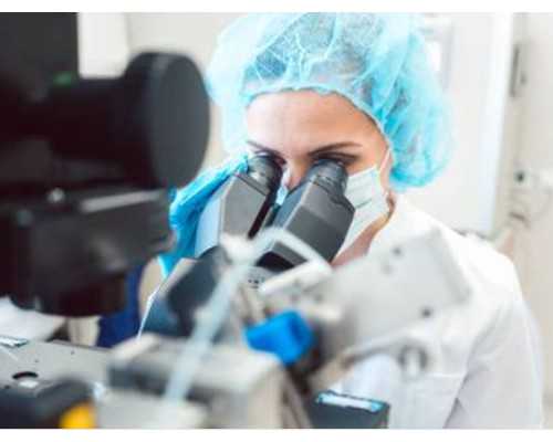 科学备孕能量补充指南：提升受孕几率的8个关键点